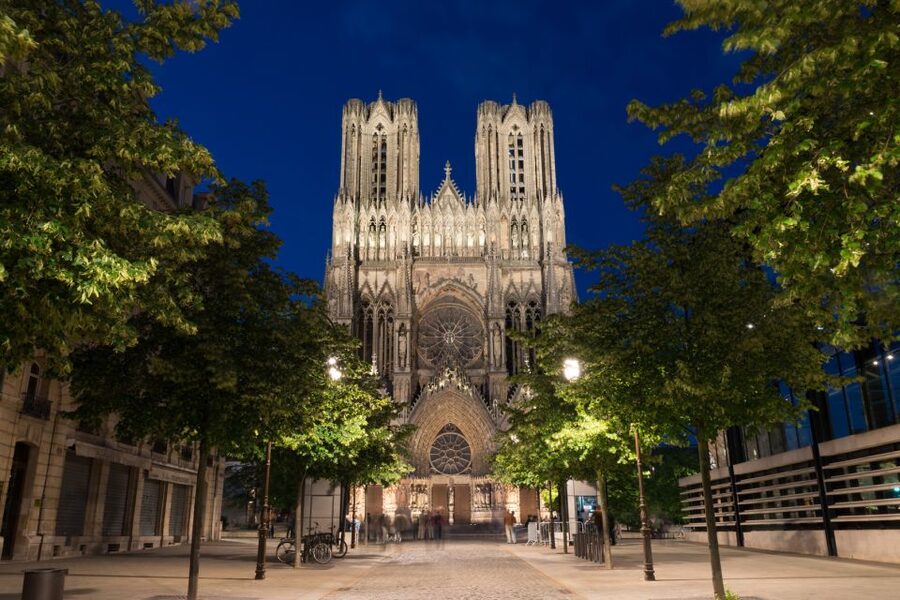 From Paris: Reims and Champagne Tasting Full-Day Tour - Meeting a Smaller Producer