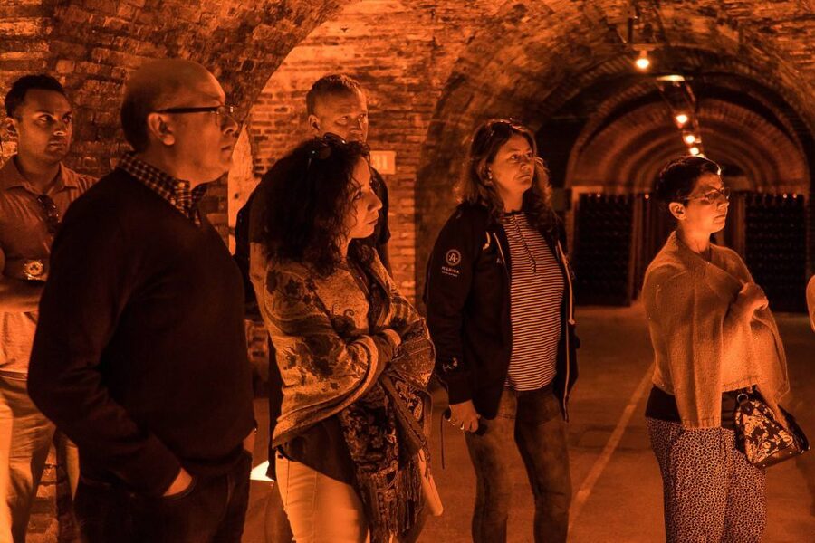 From Paris: Small-Group Champagne Day Trip with Six Tastings - Who will enjoy this tour most?