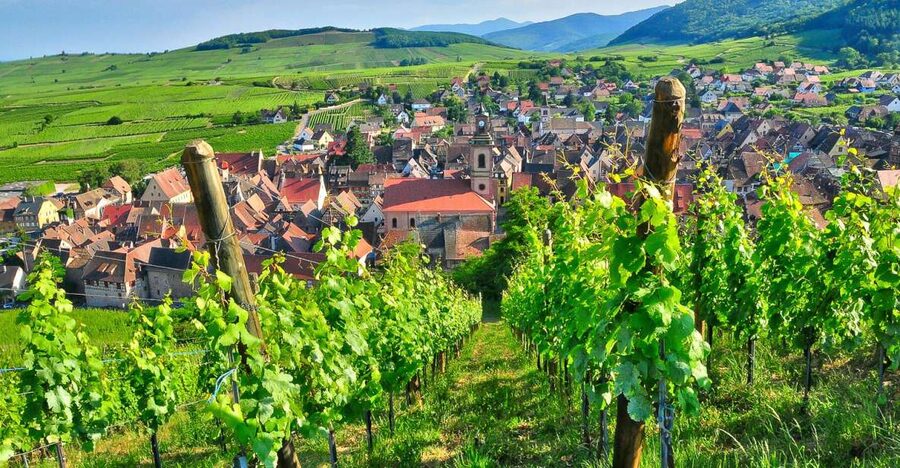 From Paris: Small-Group Champagne Day Trip with Six Tastings - The family producer is the personal part of the day