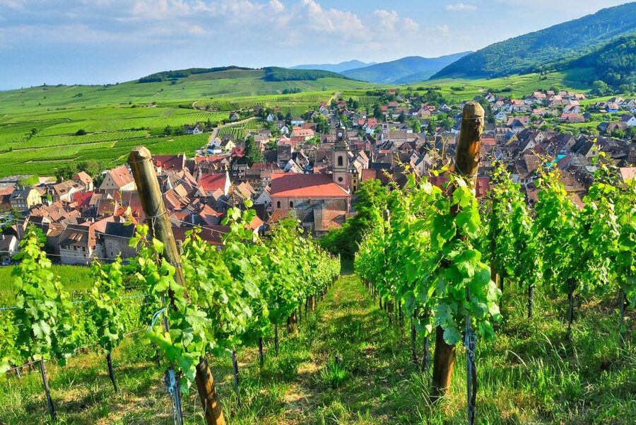 From Paris: Small-Group Champagne Day Trip with Six Tastings - The minibus ride is comfortable, but the day is long