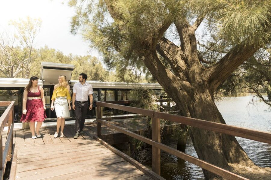 From Perth: Swan Valley Cruise, Winery, Cheese & Lunch - Should you book it?