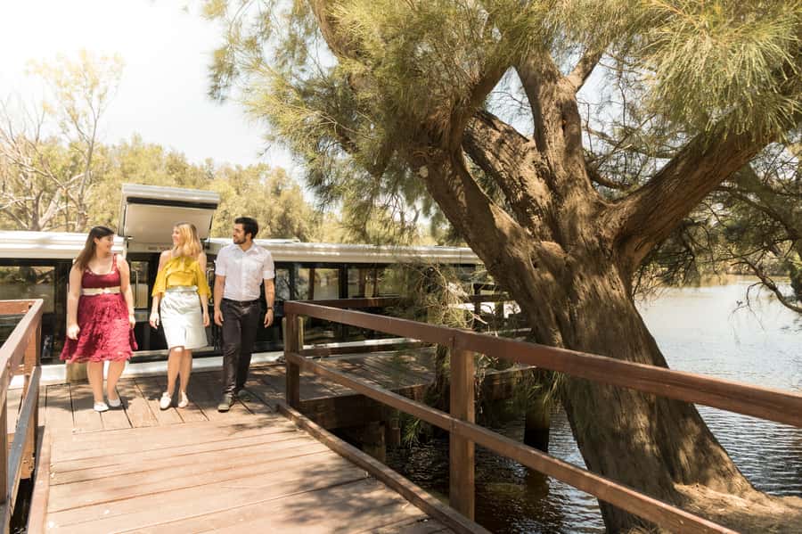 From Perth: Swan Valley Cruise, Winery, Cheese & Lunch - The return cruise changes the mood
