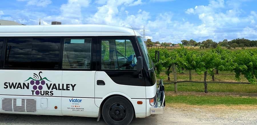 From Perth: Swan Valley Winery & Brewery Day Tour With Lunch - Why Swan Valley works as a day trip from Perth