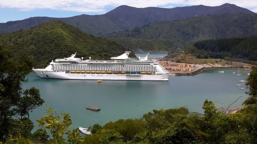 From Picton: Marlborough Wine Trip Shore Excursion - Should you book this Picton wine trip?