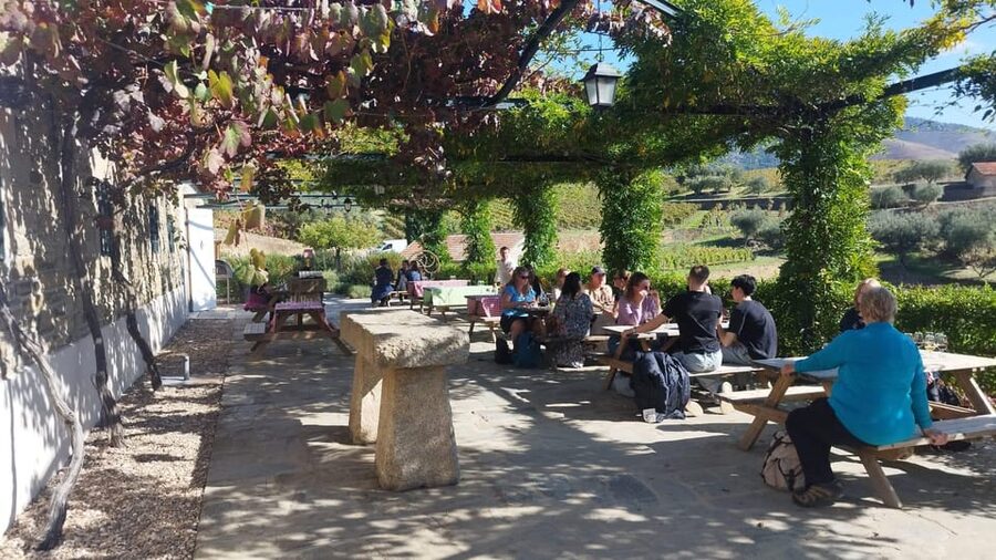 From Pinhão: Douro Valley Tour w/ Wine Tasting and Boat Trip - Timing, comfort, and who should book