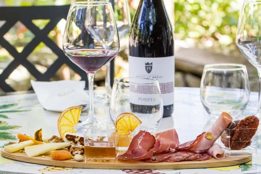 From Pompeii: Mount Vesuvius Wine Tasting and Lunch - From Pompei Scavi station to the slopes of Vesuvius