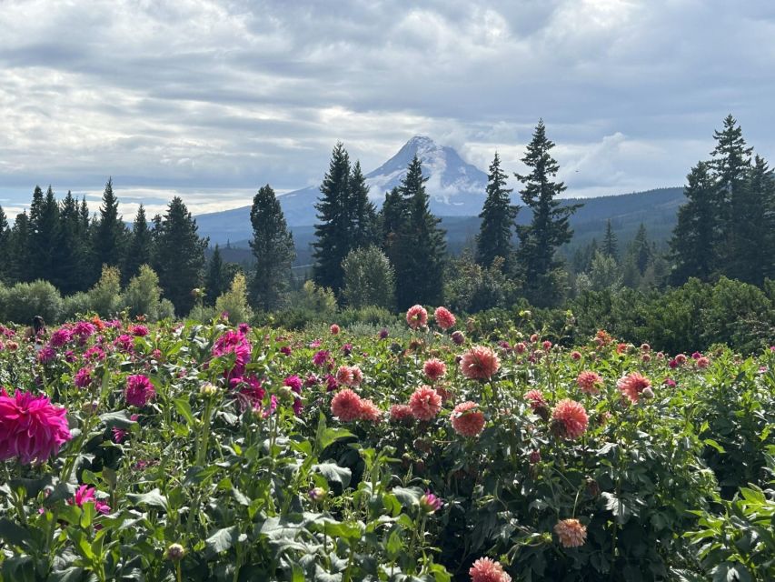 From Portland: Waterfalls, Mt Hood, and Wine Day Tour - Columbia Gorge wine country