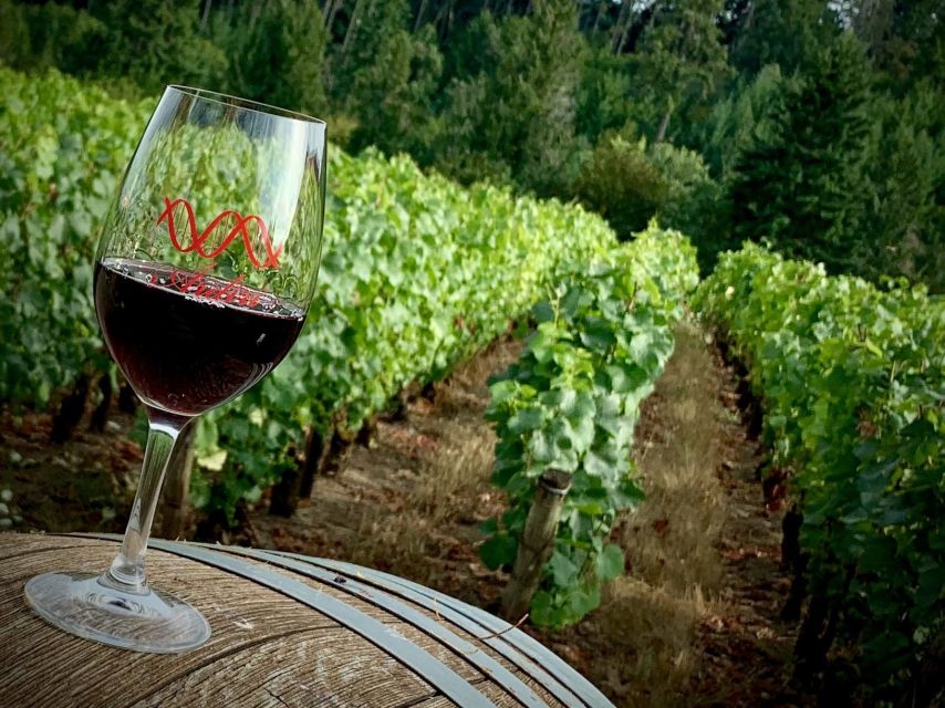 From Portland: Waterfalls, Mt Hood, and Wine Day Tour - Mt. Hood and Timberline Lodge