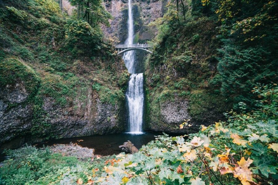 From Portland: Waterfalls, Mt Hood, and Wine Day Tour - Who should book this tour