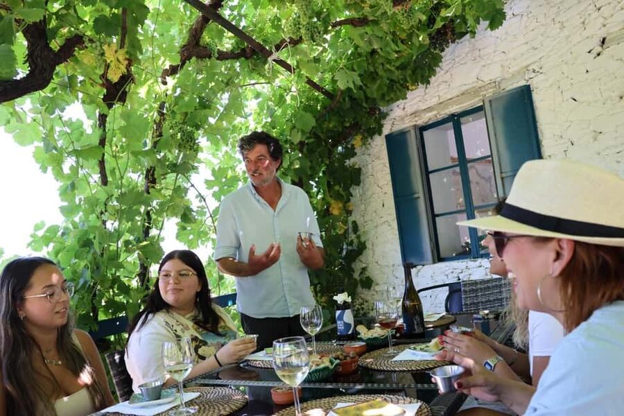 From Porto: 2 Boutique Wineries w/ Winery Lunch & 1-h cruise - Key points at a glance