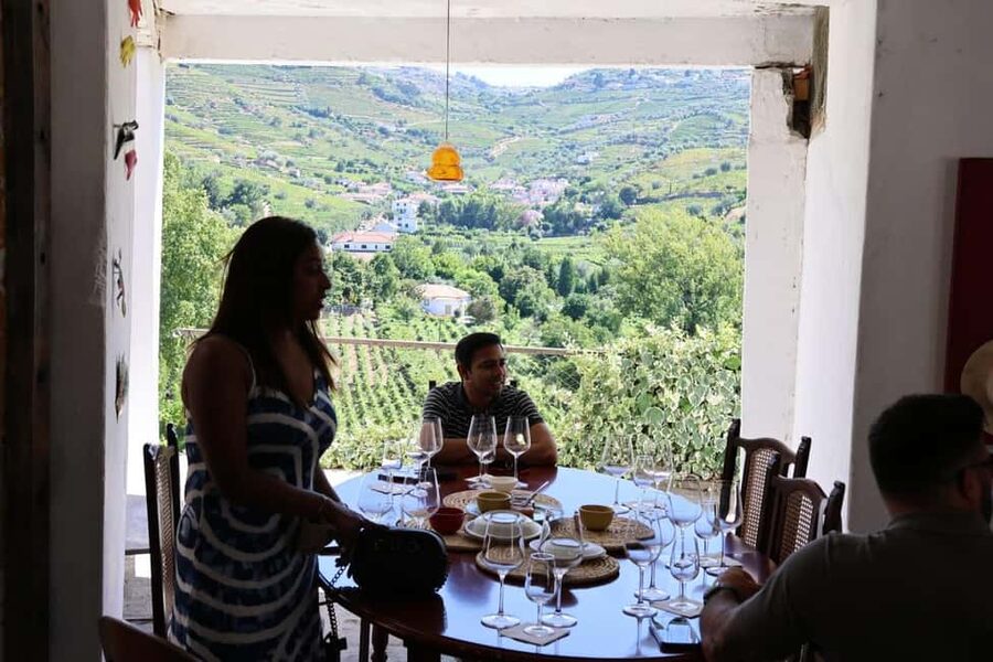 From Porto: 2 Boutique Wineries w/ Winery Lunch & 1-h cruise - Who should book this day