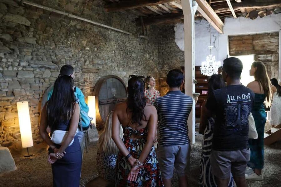 From Porto: 2 Boutique Wineries w/ Winery Lunch & 1-h cruise - The N222 leads to lunch among the vines