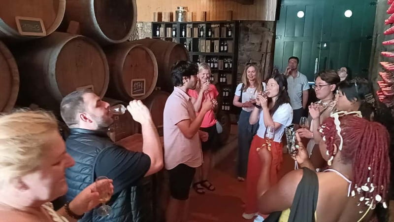 From Porto: 2 Wine Regions, Farm Lunch, and Boat Ride - Timing, comfort, and the long ride home