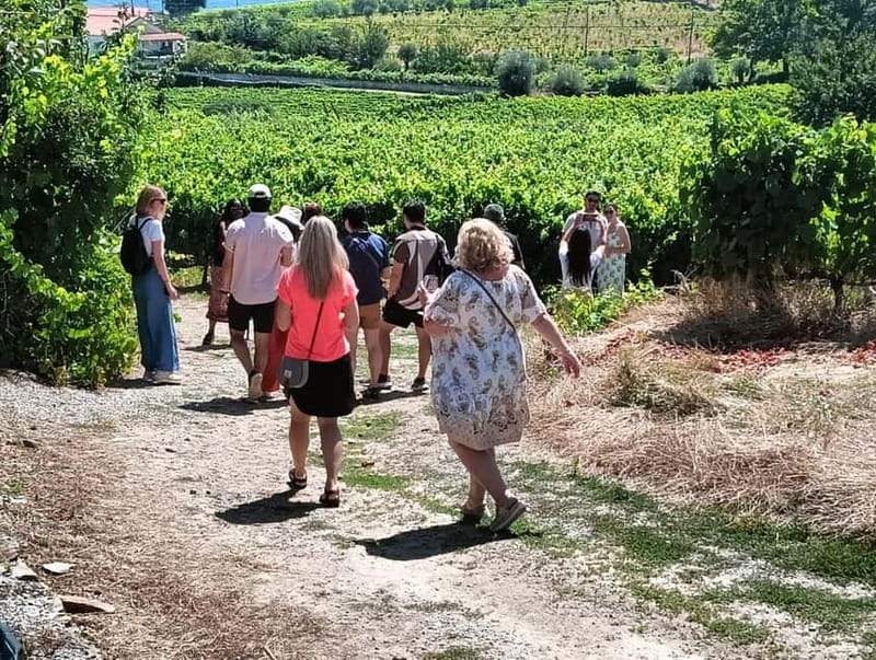 From Porto: 2 Wine Regions, Farm Lunch, and Boat Ride - Breakfast in Folgosa and the first river views