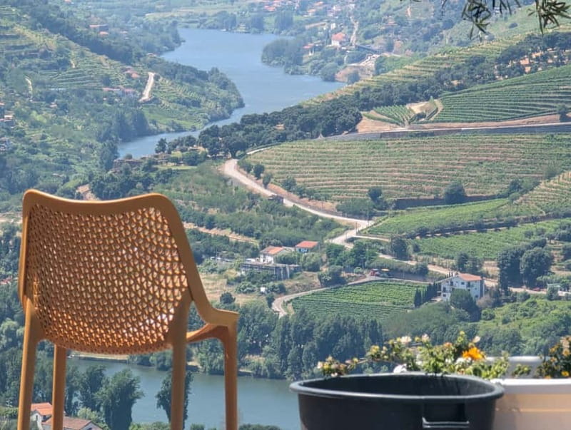 From Porto: 2 Wine Regions, Farm-to-Table Lunch & Boat - A family estate and a proper farm-to-table meal