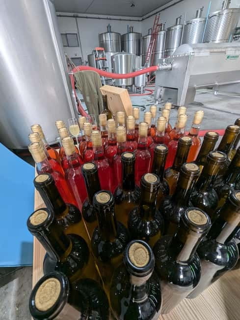 From Porto: 2 Wine Regions, Farm-to-Table Lunch & Boat - Pinhão supplies the river views and boat ride