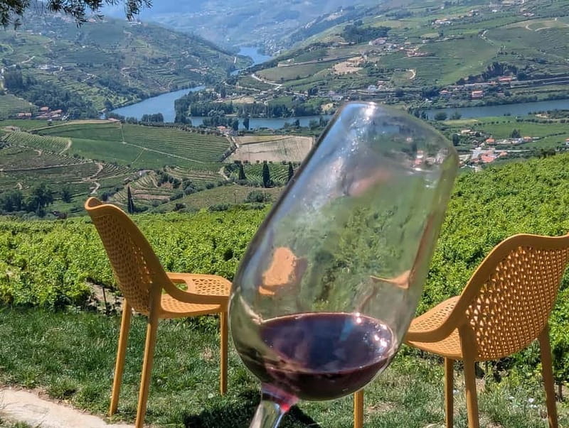 From Porto: 2 Wine Regions, Farm-to-Table Lunch & Boat - The wine education is friendly, not stuffy