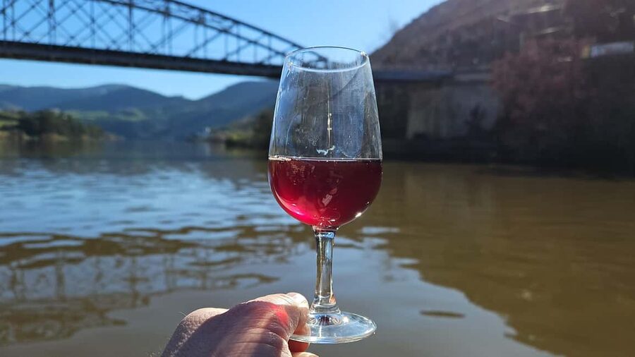 From Porto Day Douro Valley Wine Tour 2 Wine Tasting & Lunch - The Douro Valley in one full day