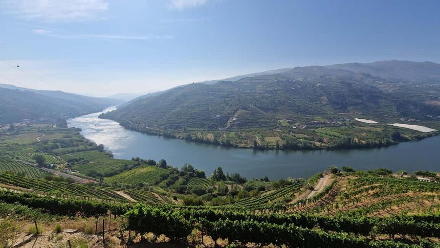 From Porto Day Douro Valley Wine Tour 2 Wine Tasting & Lunch - Lunch with Douro flavors