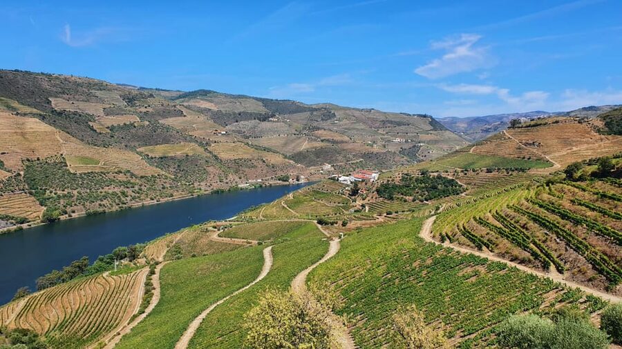 From Porto Day Douro Valley Wine Tour 2 Wine Tasting & Lunch - Pinhão, viewpoints, and the N222