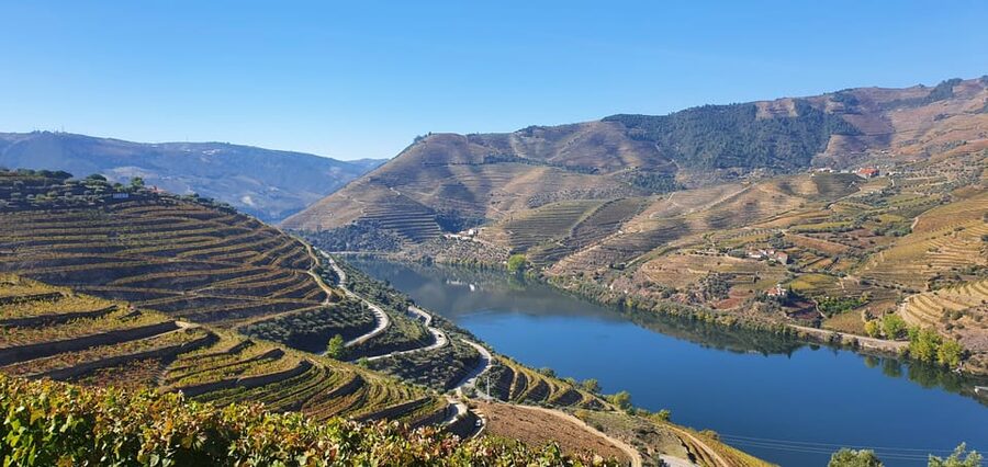 From Porto Day Douro Valley Wine Tour 2 Wine Tasting & Lunch - Is $147 a fair price?