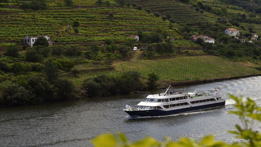 From Porto: Douro River Cruise, Winery Visit & Lunch - The coach ride back to Porto