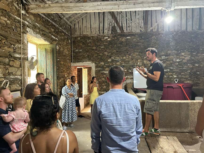 From Porto : Douro Valley sightseeing with 1 Winery Visit - The return to Porto and the pace of the day