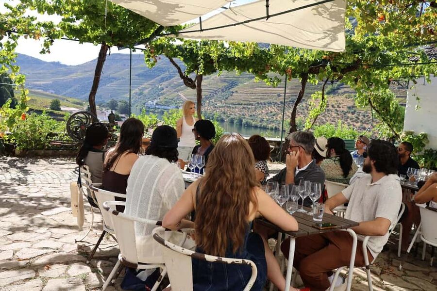 From Porto : Douro Valley sightseeing with 1 Winery Visit - Who should book this Douro outing