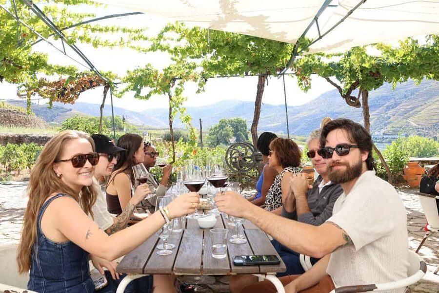 From Porto : Douro Valley sightseeing with 1 Winery Visit - A family winery and Douro wine tasting