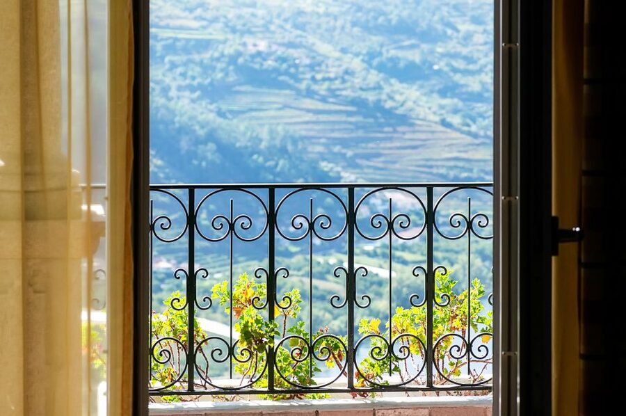 From Porto: Douro Valley w/ Boat Tour, Wine Tasting & Lunch - What the guides and drivers add