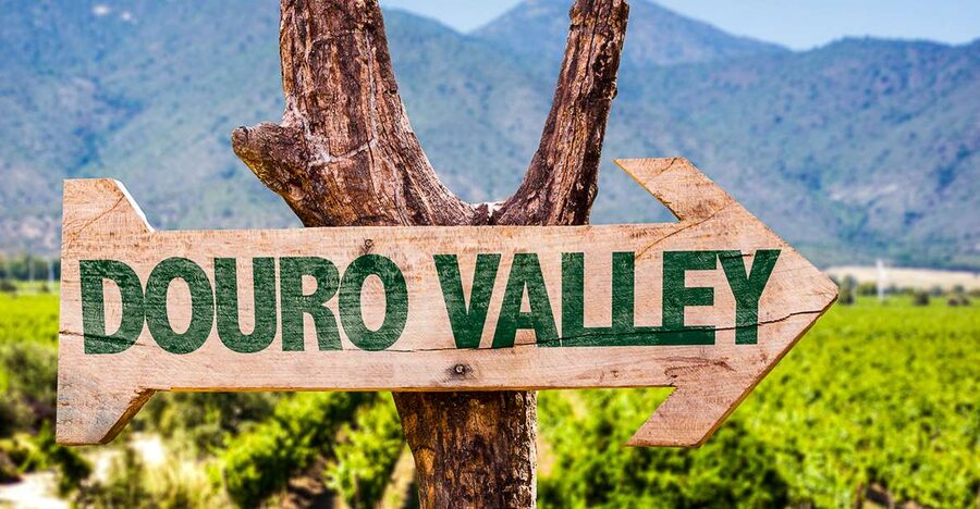 From Porto: Douro Valley w/ Boat Tour, Wine Tasting & Lunch - Following the N222 toward Pinhão