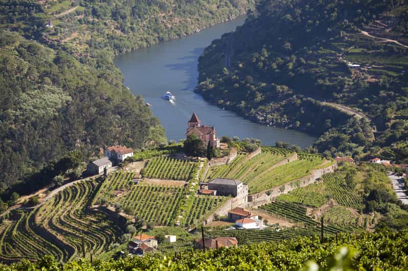 From Porto: Premium Douro Valley Small-Group Wine Tour - Key points at a glance
