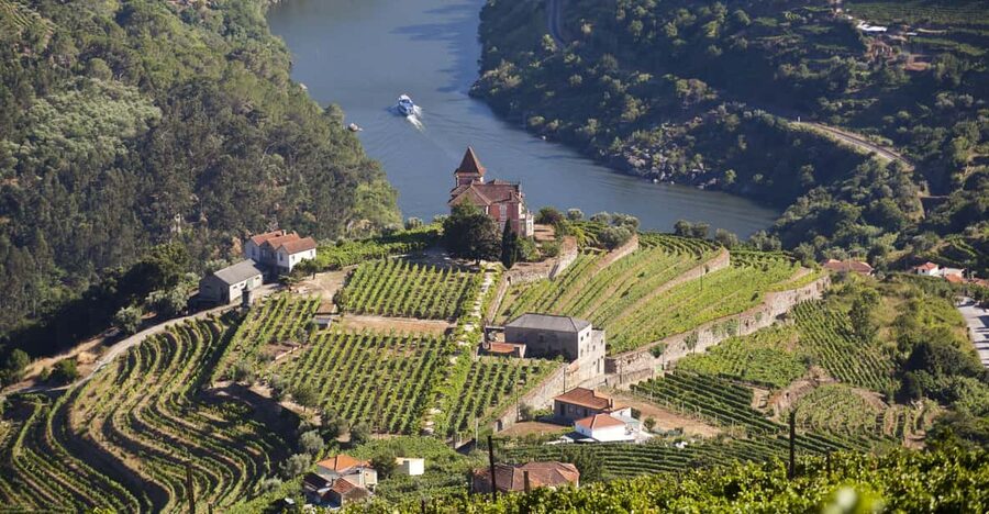 From Porto: Premium Douro Valley Small-Group Wine Tour - Why this Douro tour works as a full-day outing