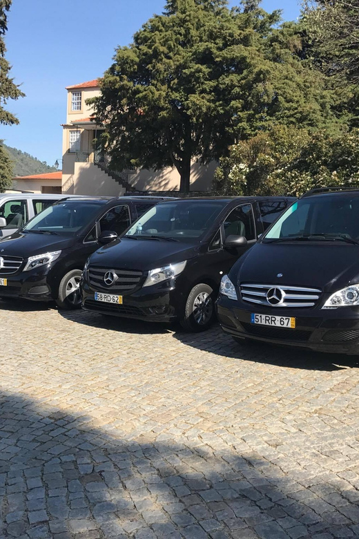 From Porto: Premium Douro Valley Small-Group Wine Tour - First winery visit and the story of Douro wine