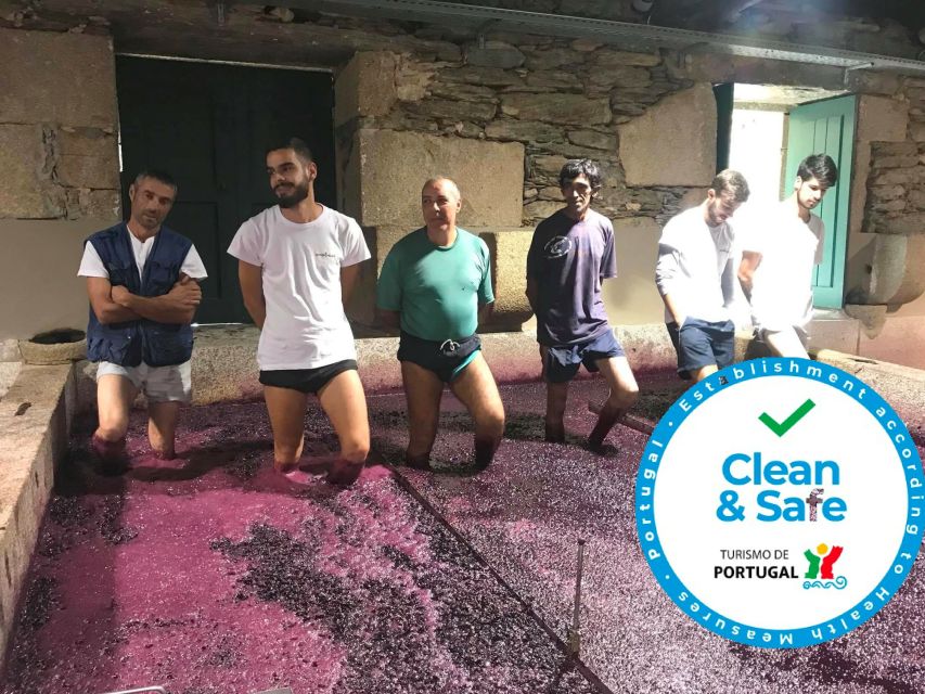 From Porto: Private Douro Valley Tour with Cruise and Wine - Pinhão brings together wine, rail, and river scenery