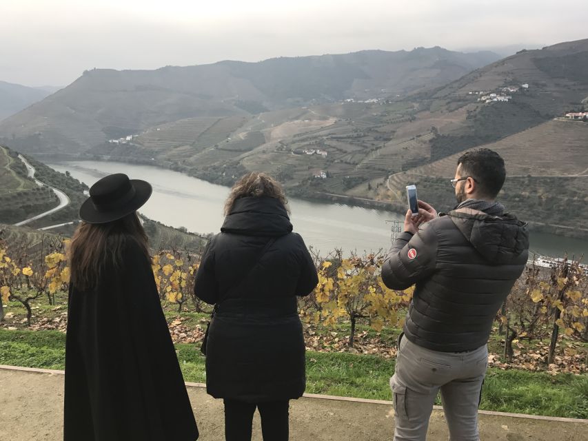 From Porto: Private Douro Valley Tour with Cruise and Wine - Two wineries give you more than one view of Douro wine