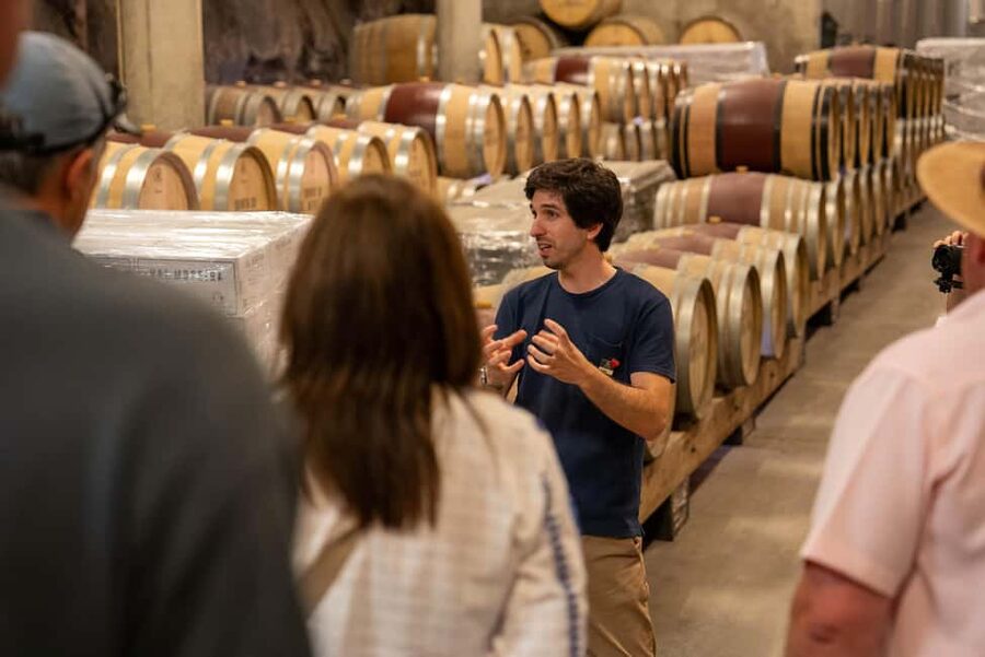 From Porto: Small Group Douro Valley Tour with Wine & Cruise - Who will enjoy this day most?