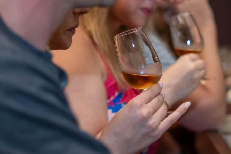 From Porto: Small Group Douro Valley Tour with Wine & Cruise - The pace, the group size, and the driving