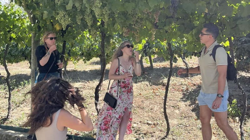 From Porto: Tastings at 2 Wineries, Chef's Lunch & Boat Tour - Eleven tastings, from DOC wines to firewater