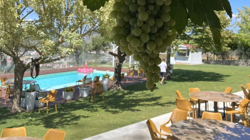 From Porto: Tastings at 2 Wineries, Chef's Lunch & Boat Tour - Value at $134 per person