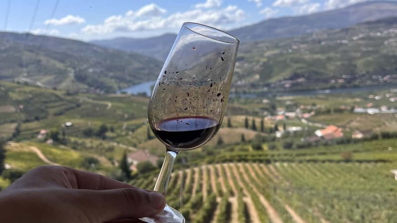 From Porto: Tastings at 2 Wineries, Chef's Lunch & Boat Tour - Who should book this Douro Valley day?
