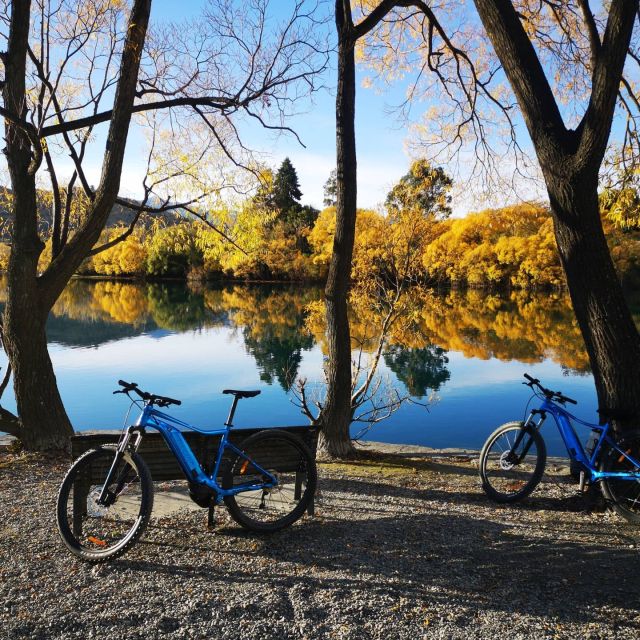 From Queenstown: 'Valley of the Vines' Wine and Bike Tour - Key points to know