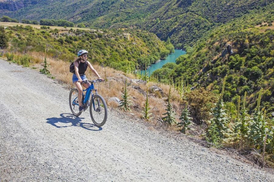 From Queenstown: 'Valley of the Vines' Wine and Bike Tour - From Queenstown to Arrowtown’s old gold country