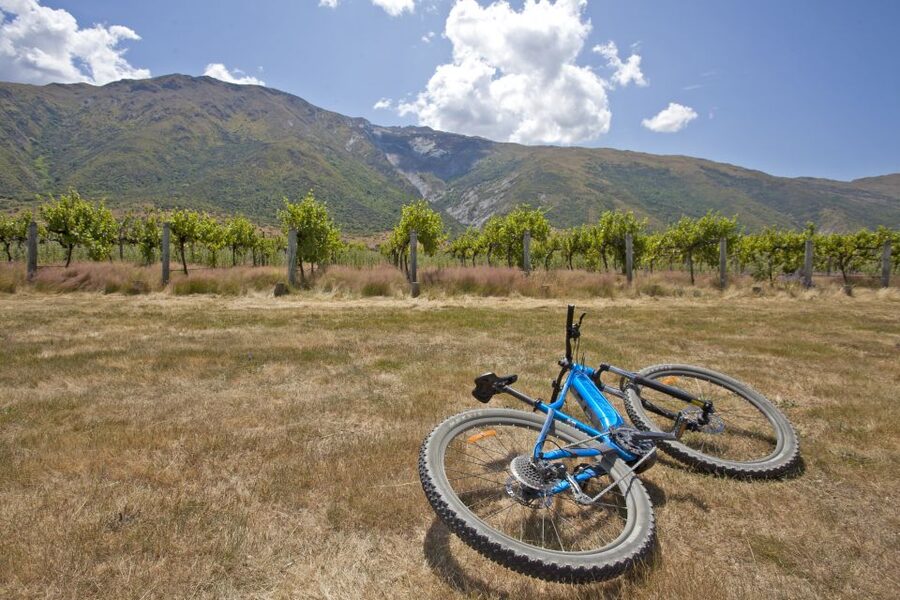 From Queenstown: 'Valley of the Vines' Wine and Bike Tour - Mount Rosa, Kinross, and the Valley of the Vines