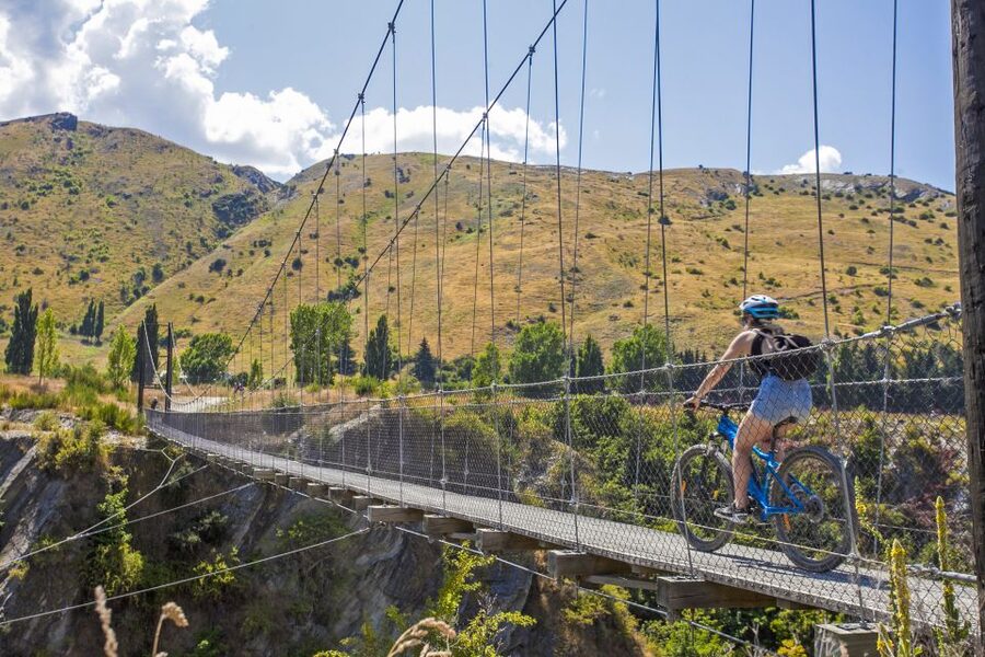 From Queenstown: 'Valley of the Vines' Wine and Bike Tour - What the $88 price really covers