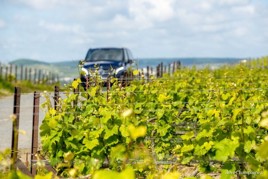 From Reims: Champagne and Family-Run Wineries Tour - Why family-run Champagne houses change the experience