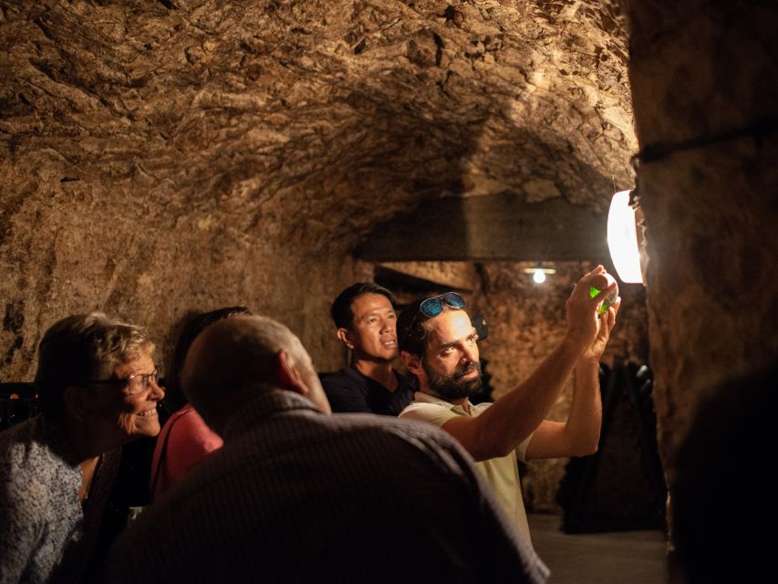 From Reims: Champagne and Family-Run Wineries Tour - Who should take this Champagne tour?