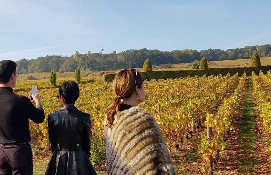From Reims: Champagne Day Trip to 3 Family Domains & Lunch - Hautvillers and the Dom Pérignon connection