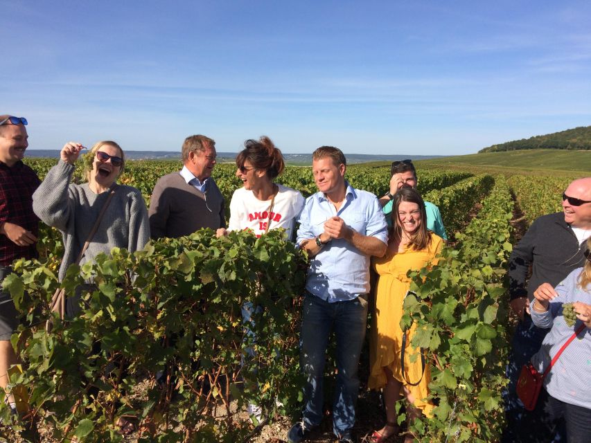 From Reims/Epernay: Champagne half-day tour (small group) - Is $188 good value for four hours?