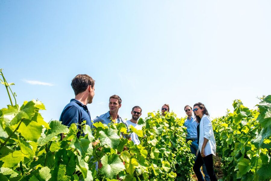 From Reims: Morning Champagne Tour and Tastings - The return to Reims and the best way to use your afternoon